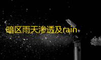 暗区雨天渗透及rain直装：特殊手段与非官方途径的利与弊？